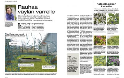 Leikkipiha ja näkösuojaa tielle, KOTIPUUTARHA 3/2013