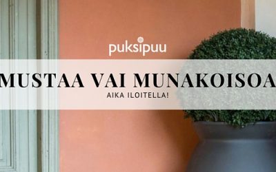 Lisää väriä pihaan ja puutarhaan!
