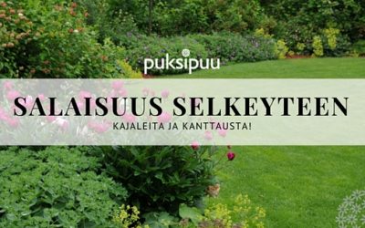 Kuinka selkeyttää puutarhan yleisilme