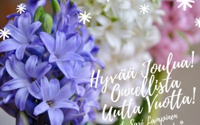 Joulu alkaa hyasintin tuoksusta