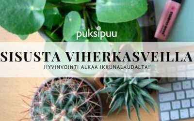 Viherkasvit – hyvinvointi alkaa ikkunalaudalta