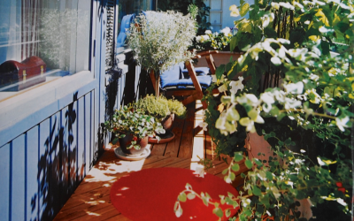 Parvekkeella nautitaan kesästä, VIHERPIHA 6-7/2006