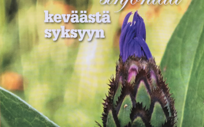Tuoksupuutarha keväästä syksyyn, KOTIPUUTARHA 3/2009