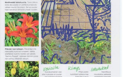 Helppohoitoinen rivitalopiha länteen, KOTIPUUTARHA 9/2011