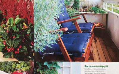 Parveke syksyllä – istutukset, VIHERPIHA 10/2006