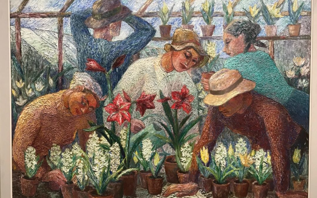 Jouluamaryllis johdattaa jouluun