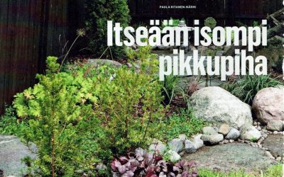 Itseään isompi pikkupiha – TM Rakennusmaailma 6-2021