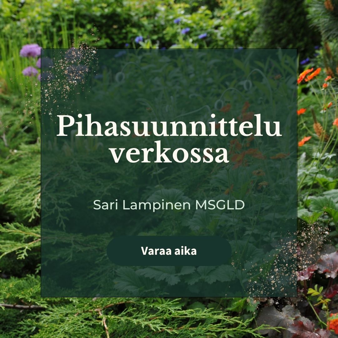 Pihasuunnittelu netissä