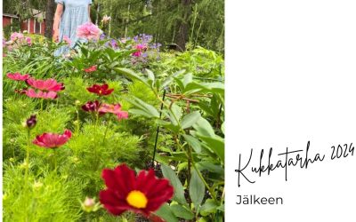Unelmien mökkipuutarha – Valmiita alueita ja tilaa tulevaisuuden unelmille Osa3