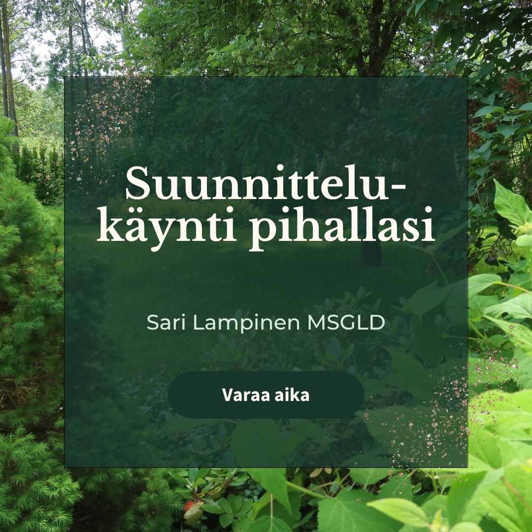 Suunnittelukäynti pihalla